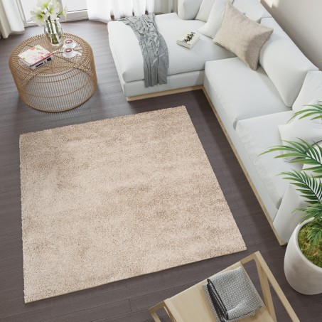 DYWANY W NIETYPOWYM KSZTAŁCIE ?  - Tapis Chemex